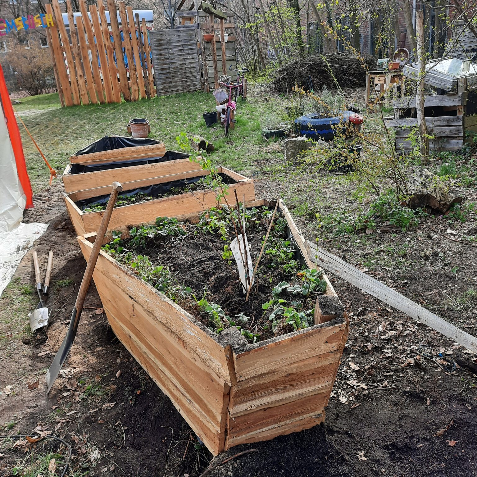 ErdbeerHochbeetSchiffEimsbüttelNord